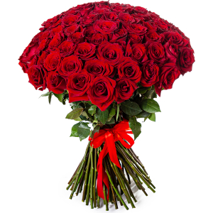 55 Trandafiri Roșii 70 cm