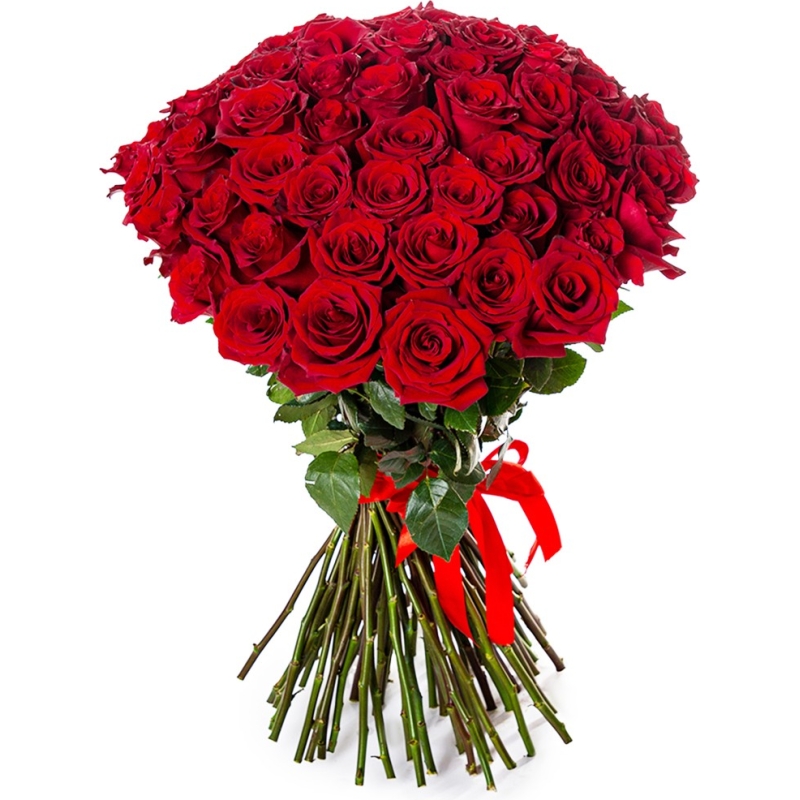 14.04.21_0810-1-_-1645436445