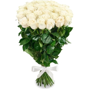 35 Trandafiri Albi