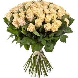 Cream roses 60-70 cm