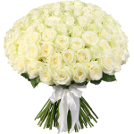 101 Trandafiri Albi