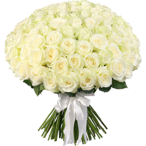101 Trandafiri Albi