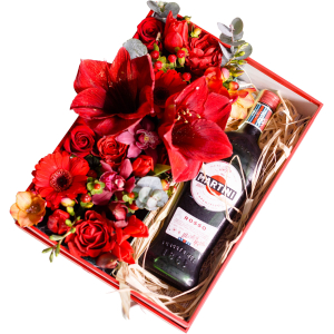 Red Martini composition